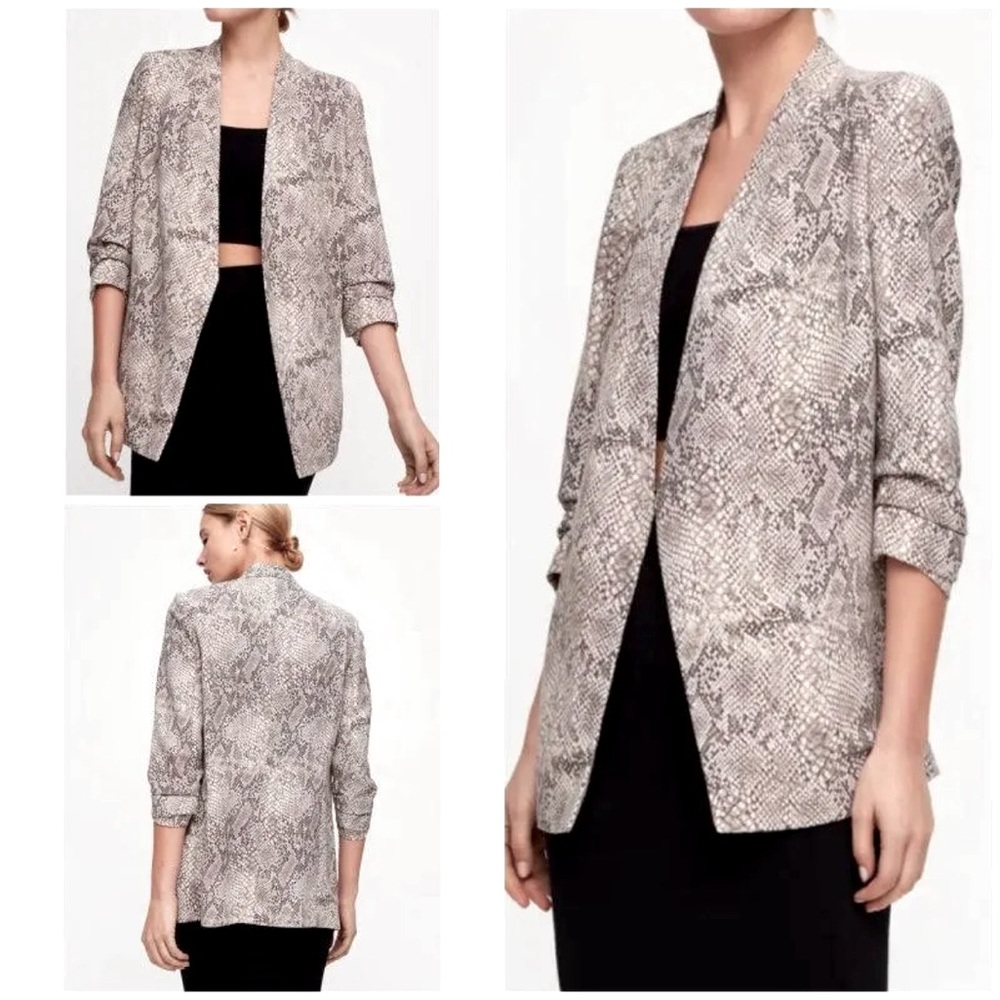 Babaton McCauley Jacket from Aritzia